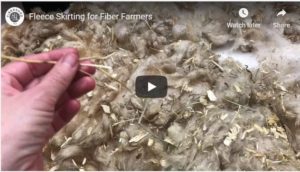 How To Videos - Fleee Skirting for Fiber Farmers